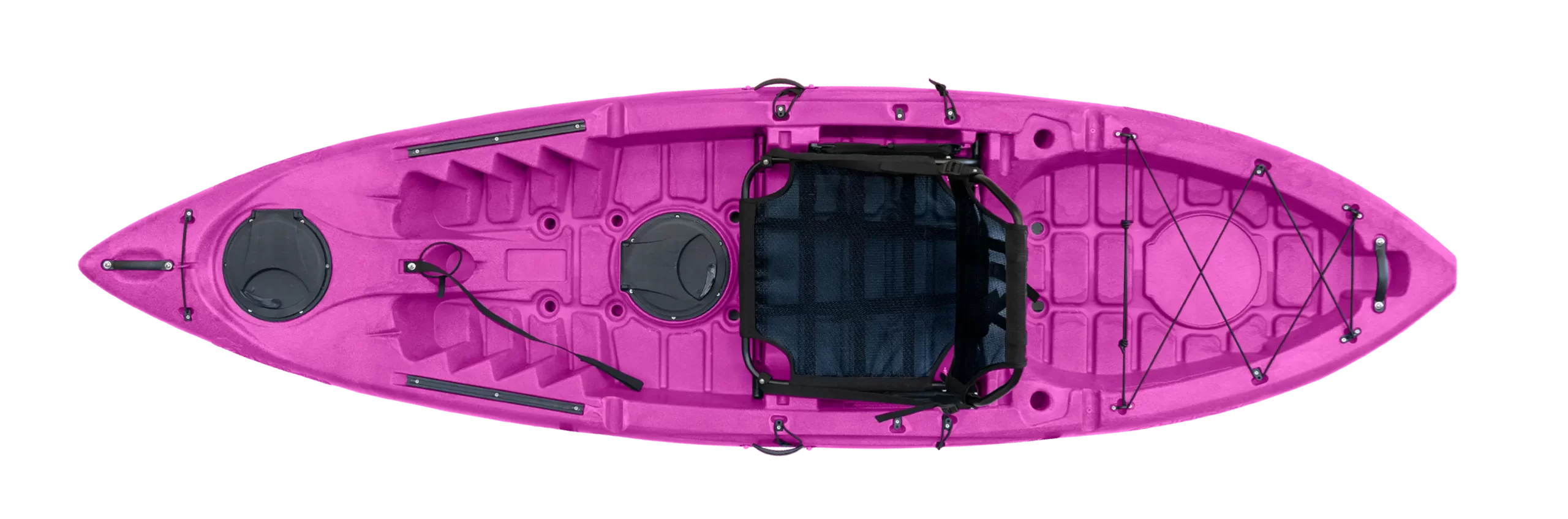 ROSA-CAIMAN-100